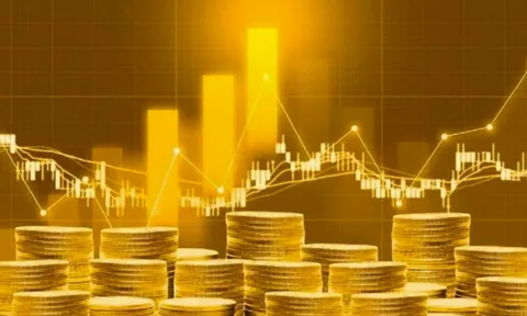 Người phụ nữ bị lừa mất gần 82 tỷ đồng do tham gia đầu tư giao dịch vàng trên nền tảng giả mạo