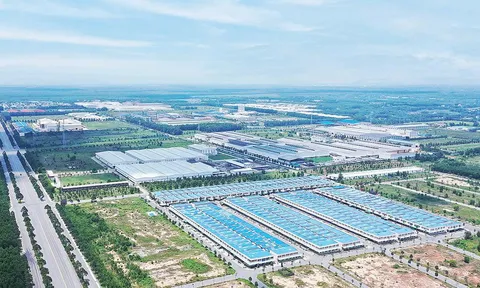 Quy định pháp lý liên quan việc thuê đất của doanh nghiệp FDI