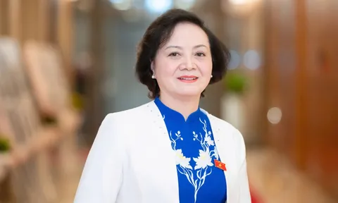 Nhân sự khối Chính phủ, Quốc hội ứng cử ĐBQH khóa XVI