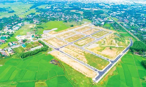 Đất trồng cây lâu năm tách riêng có được tính là đất vườn, ao gắn liền đất ở?
