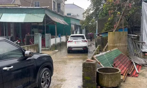 Những cái tôi không chịu lùi