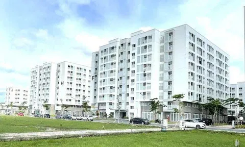 Hướng dẫn xác nhận thu nhập cho lao động tự do khi mua nhà ở xã hội
