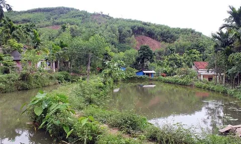 Đất ao không nằm trong cùng thửa đất ở, khi chuyển mục đích sử dụng có được miễn, giảm tiền sử dụng đất?