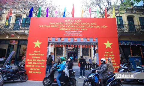 Người hưởng án treo, người được hoãn chấp hành hình phạt tù có được bầu cử?