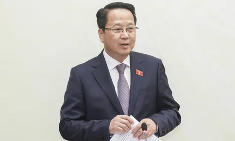 Chưa phát hiện ứng cử viên ĐBQH vi phạm phải tạm dừng ứng cử như đơn khiếu nại tố cáo