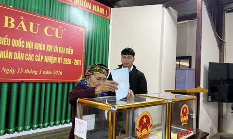 Gần 62 triệu cử tri đã đi bỏ phiếu bầu cử