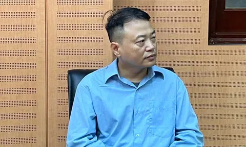Shark Bình có liên quan như thế nào trong vụ án Mr Pips?