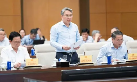 Tổng rà soát hệ thống văn bản quy phạm pháp luật