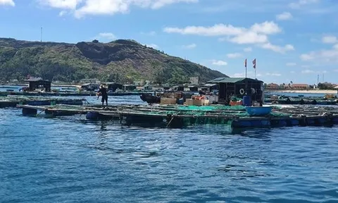 Đề xuất miễn thuế thu nhập cá nhân với nhiều nguồn thu trong lĩnh vực nông nghiệp, môi trường