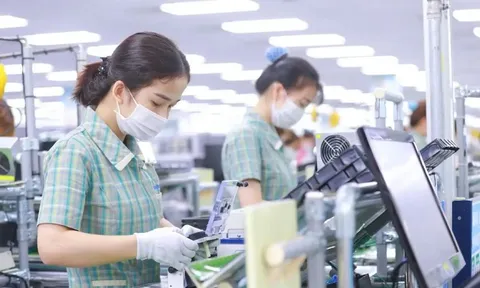 Doanh nghiệp FDI mới thành lập có được miễn thuế TNDN 3 năm đầu?