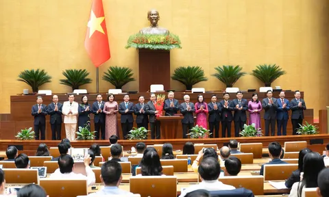 Danh sách Chủ tịch Hội đồng Dân tộc, Chủ nhiệm Ủy ban của Quốc hội khóa XVI