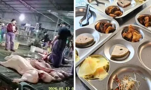 Thực phẩm bẩn, chuyện không chỉ ở nhà trường...