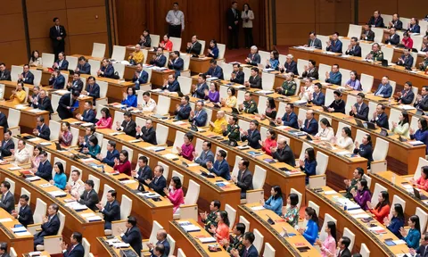 Chính phủ nhiệm kỳ 2026 - 2031 gồm 14 bộ và 3 cơ quan ngang bộ