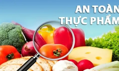 Tiếp tục áp dụng Nghị định 15/2018/NĐ-CP về an toàn thực phẩm cho đến khi có quy định mới