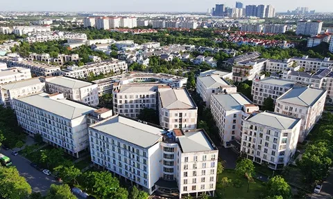 Cẩn thận mất tiền khi tin lời 'cò mồi' mua 'suất ngoại giao' nhà ở xã hội