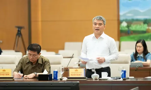 Đề xuất thực hiện thí điểm chế định luật sư công trong 2 năm