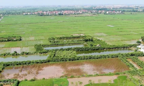 Có được giảm tiền chuyển đổi đất nông nghiệp thành đất ở?