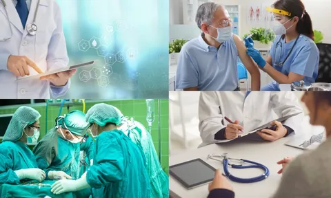 Dự kiến quy trình kiểm tra chuyên ngành lĩnh vực y tế