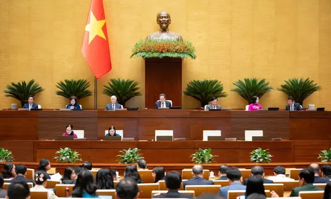 Quốc hội đồng ý thí điểm chế định luật sư công tại 8 bộ, 10 tỉnh, thành phố