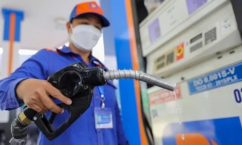 Đơn giản hóa, cắt giảm nhiều thủ tục hành chính, điều kiện kinh doanh trong lĩnh vực xăng dầu