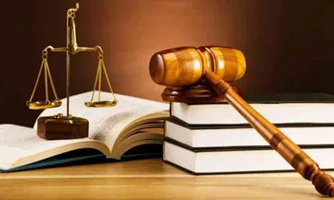 Quy định mức phạt tội xâm phạm quyền tác giả, quyền liên quan