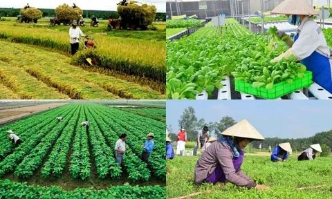 Đề xuất sửa đổi tiêu chí thụ hưởng chính sách hỗ trợ của Nhà nước đối với hợp tác xã