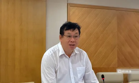 Phát hiện, xử lý hơn 1.400 vụ xâm phạm quyền sở hữu trí tuệ, khởi tố hình sự 28 vụ