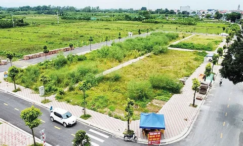 Đề nghị cơ quan thuế tính lại tiền sử dụng đất, thủ tục thế nào? 