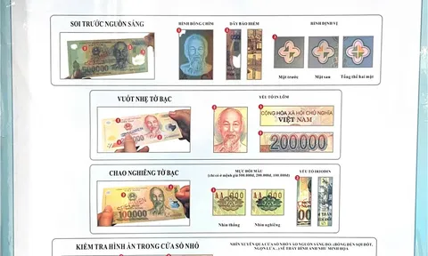Cảnh báo xuất hiện các loại tiền giả mệnh giá mới trên thị trường
