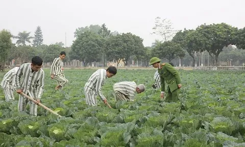 Người chấp hành án mãn hạn tù vẫn chưa khỏi bệnh sẽ được xử lý thế nào?