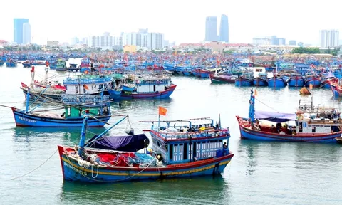 Phạt tối đa 2 tỷ đồng với hành vi vi phạm hành chính lĩnh vực thủy sản