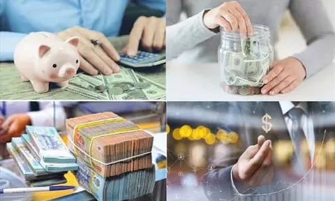 Mức phạt vi phạm hành chính trong lĩnh vực tiết kiệm, chống lãng phí