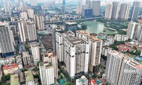 Có được cho thuê tài sản đang thế chấp không?
