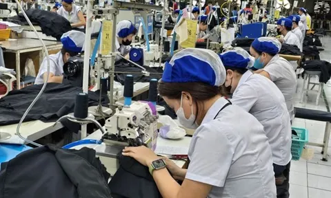 Công ty thuê khoán lao động có phải khấu trừ thuế TNCN trước khi trả lương?
