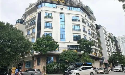 Ngày 11/8, xét xử Chủ tịch Công ty Mỹ Hạnh lừa đảo góp vốn dự án trồng cây Sâm Ngọc Linh