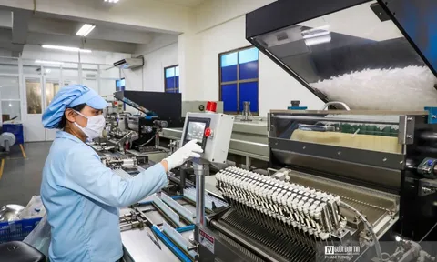 Kê khai không chính xác nội dung đăng ký doanh nghiệp bị phạt tới 70 triệu đồng