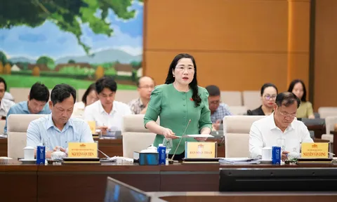 Nâng cao hiệu quả công tác phòng, chống tội phạm, kéo giảm bền vững các loại tội phạm