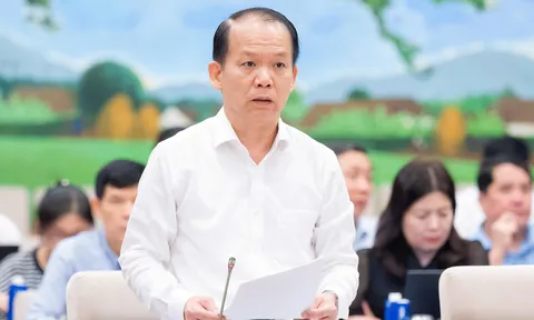 Phân quyền triệt để, toàn diện cho đô thị đặc biệt