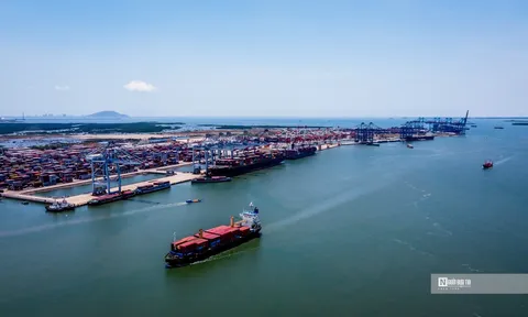 Phát triển mạnh doanh nghiệp biển, nhất là các tập đoàn, tổng công ty quy mô lớn