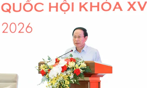 Chính phủ đề nghị tăng cường giám sát thực thi chính sách, pháp luật ở cấp tỉnh và xã