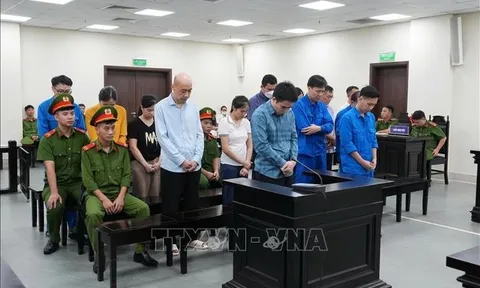 Hai cựu lãnh đạo Cục Hải quan lĩnh 13 năm tù trong vụ sản xuất thực phẩm giả ở MediPhar