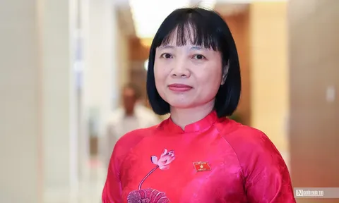 Cấm trưng bày thuốc lá phải đi cùng kiểm soát thị trường bất hợp pháp