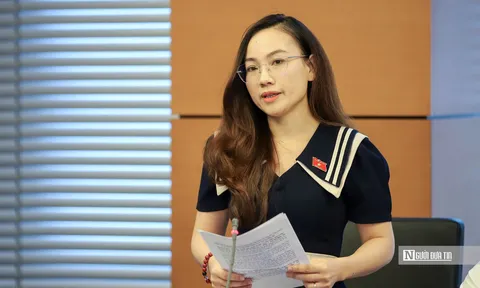 ĐBQH: Cấm sử dụng hòa giải với vụ việc bạo lực gia đình, xâm hại trẻ em