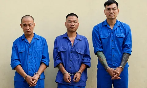 Từ vụ bắt “giang hồ mạng”, ĐBQH đề nghị quy định trách nhiệm của nền tảng số