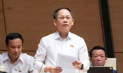 Lao động Việt phạm pháp ở nước ngoài, đại biểu đề nghị áp dụng biện pháp cấm xuất cảnh
