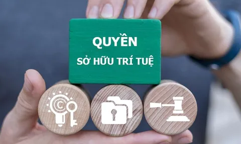 Tăng cường chế tài xử lý các hành vi xâm phạm quyền, vi phạm pháp luật về sở hữu trí tuệ