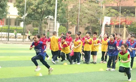 Quy chế tổ chức, hoạt động của trường phổ thông năng khiếu nghệ thuật, thể dục, thể thao
