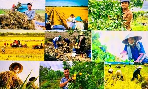 Đề xuất chính sách phát triển kinh tế nông thôn, đa dạng hóa sinh kế, việc làm