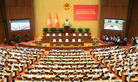 Đảng bộ Trung ương Hội Luật gia Việt Nam tham gia học tập, quán triệt các Nghị quyết của Bộ Chính trị