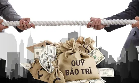 Mức xử phạt vi phạm về quản lý, sử dụng nhà chung cư và kinh phí bảo trì
